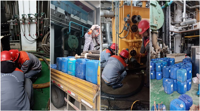 凝汽器、冷油器香蕉视频久久下载-組合